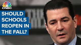 Former FDA chief on whether schools should reopen in the fall [upl. by Narej]