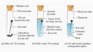 Rusting of Iron  Physical and Chemical Changes  Chapter 6  Class 7 [upl. by Marcela]