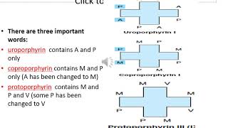 Porphyrins Chemistry Lec 1 By Dr Mohsina for 1st Year MBBS [upl. by Bale]