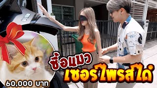 ซื้อแมวเซอร์ไพรส์ได๋ 60000 บาท FADSAYONG [upl. by Molli214]