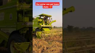 Harvestar dhan🌾👳cutai chalu part 2  punjab harvester [upl. by Dnamron]