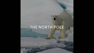 Abercrombie amp Kent Charts a Course to the North Pole in 2024 [upl. by Aicirtap]