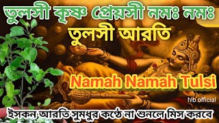 tulasi aarti🪔 namo namah tulasi krishn lyrics🐚 [upl. by Ahseat]