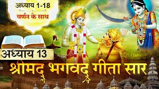 श्रीमद भगवत गीता सार अध्याय 13  Shrimad Bhagawad Geeta With Narration  Chapter 13  geeta saar [upl. by Airalav]