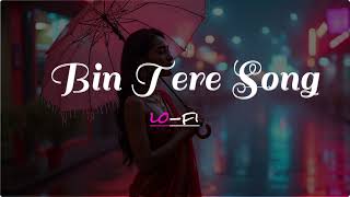 Bin Tere New Hindi Song [upl. by Enileoj715]