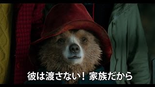 AIの「ハピネス」がイメージソングに！映画「パディントン」本予告編 Paddington movie [upl. by Einhpets911]