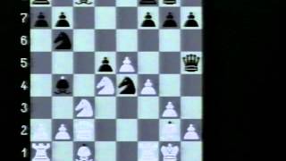 Schach der Grossmeister 1998 [upl. by Cirre]