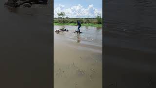 Atravessando lago com carroça submersa [upl. by Shelburne]