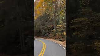 Brasstown bald highest peak in Georgia state USA brasstownbaldfallcolors sonyrumale shorts [upl. by Ahsiemaj]