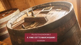 Il Vincotto marchigiano  AcinoNobile [upl. by Brott]