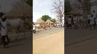 Les cultivateurs au défilé du 4 Avril à Maleme Hodar [upl. by Arnulfo]