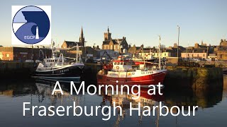 A Morning at Fraserburgh Harbour [upl. by Karl]