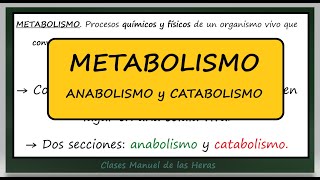 METABOLISMO Diferencia Anabolismo y Catabolismo Autótrofos y Heterótrofos Biología Bachillerato [upl. by Tasiana976]