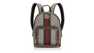 Gucci GG Supreme Web Ophidia Day Small Backpack New Acero [upl. by Yrellav]