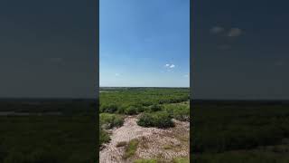 Flying over P Town Ranch [upl. by Nos273]