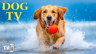 Keep Your Dogs Entertained and Relax amp DOG TV Fun and Calming Videos for Dogs Watch With Music [upl. by Gerty]