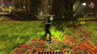 Kingdoms of Amalur Fatesworn pt4 making peace with the Fae [upl. by Merete]