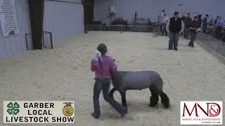 2024 Garber Local Livestock Show [upl. by Norod]