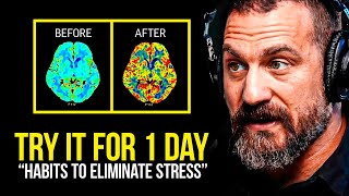 Neuroscientist Reveals The LIFESTYLE HABITS That Prevent COGNITIVE DECLINE  Dr Tommy Wood [upl. by Nothgierc812]