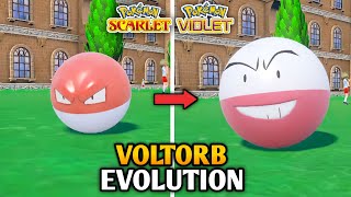 How To Evolve Voltorb Into Electrode In Pokemon Scarlet And Violet  Paldea Pokedex [upl. by Rea]