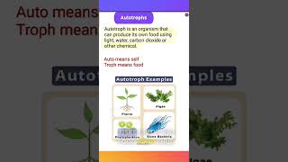 Autotroph Definition  biology science icse [upl. by Ishmael]