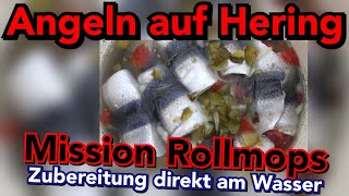 Angeln auf Hering und dann direkt am Wasser ROLLMOPS machen ANGLERSCHWATZ  KANALBESCHREIBUNG LESEN [upl. by Waterer]