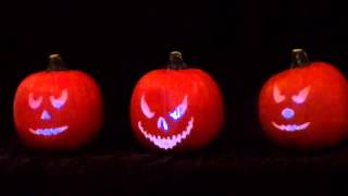 The Pumpkin Patch Song  Halloween Projection With Original Song [upl. by Adamek]