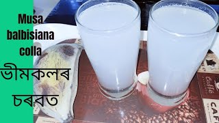 ভীমকলৰ চৰবতMusa balbisiana collasarbatsummer drinkrecipe [upl. by Uzia]