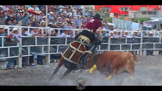 Primer Jaripeo Primera Fase Circuito Nacional Torneo Contra Reloj Iguala Guerrero [upl. by Arleyne]