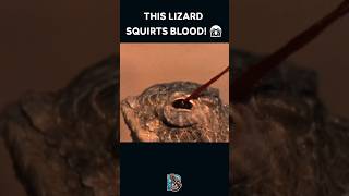 3 Animal Defenses You Won’t Believe Exist—MindBlowing Survival Skills 🐟🦎💥 Shorts [upl. by Arondell]