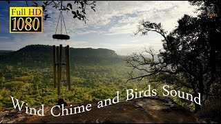 Wind Chimes and Birds  Relaxing Nature Sound  SleepStudyWorkMeditation  3 hours [upl. by Olia304]