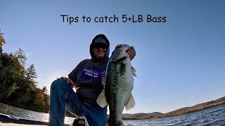 You Can Master these Techniques to Land 5 Pound Bass [upl. by Rema264]