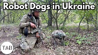 Ukraine Unleashes the Robot Dogs of War [upl. by Innus33]