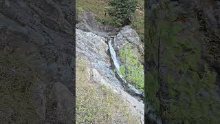 Forest View waterfall forest travel nature viralvideo video viralshorts trending hiking [upl. by Ahearn348]