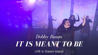 Dobby Baum quotIt is meant to bequot LIVE in Staten Island NY Original song [upl. by Anatnas]