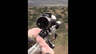 Unforgettable African Adventure Blesbok Hunting Expedition [upl. by Manvell]