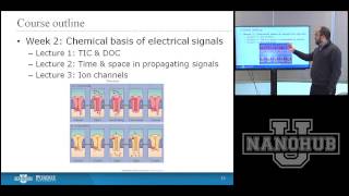 nanoHUBU Introduction to Bioelectricity Scientific Overview [upl. by Lamson]