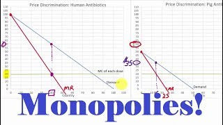 Details about Monopolies Full Lecture [upl. by Haliek]