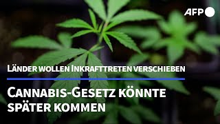 Länder wollen Inkrafttreten von CannabisGesetz verzögern  AFP [upl. by Aicala]