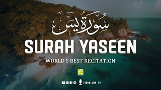 Amazing and Heart touching beautiful voice  Surah Yasin Yaseen سورة يس  Zikrullah TV [upl. by Annalise]