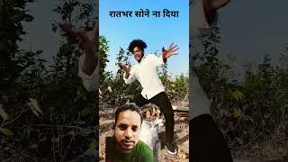 पूरी रात सोने ना दिया 😂😂 comedy realfools surajroxfunnyvibeo vikramcomedyvideo funny animal [upl. by Redlac]