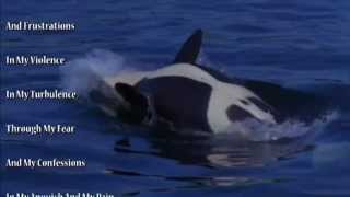 Fellipe Spears  Will You Be There  Free Willy Movie  Full version [upl. by Naicad949]