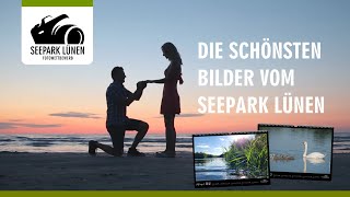 Fotowettbewerb Seepark Lünen  Die schönste Bilder werden gesucht [upl. by Boyd169]