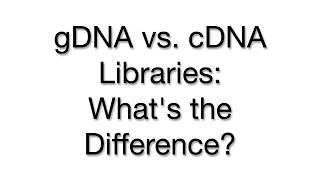 DNA Libraries Genomic vs cDNA  Key Differences and Applications [upl. by Yborian]