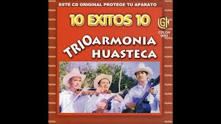 Trio Armonia Huasteca  Amorcito Norteno [upl. by Brew669]