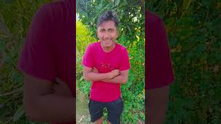 Hamare Guruji Na Tode comedy funny sh fun comedyfilms ytshorts tranding funny 🤣🤣 [upl. by Nosittam598]