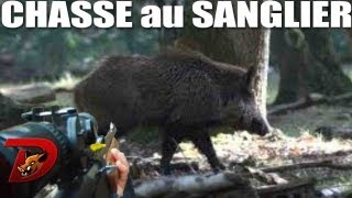 tir sanglier gros mâle avec Nounours [upl. by Yrtnej]