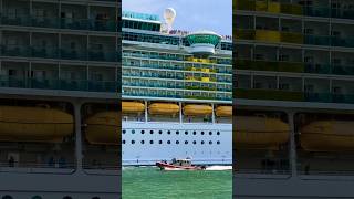 Independence of the Seas 🛳️ like share comment subscribe cruiseship cruise vacation shorts [upl. by Aicineohp]