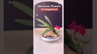 Simple and Stylish Easy Geranium Flower Arrangement Ideas 花藝 [upl. by Htide668]