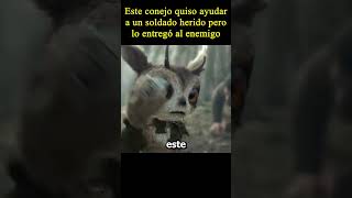 😱Este conejo quiso ayudar a un soldado herido pero moviemovie peliculas [upl. by Okechuku709]